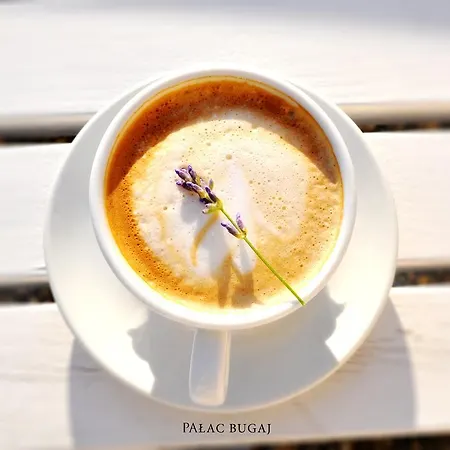 Pensionat Palac Bugaj *
