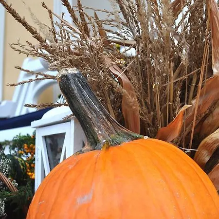 Palac Bugaj * Raszkow (Greater Poland)