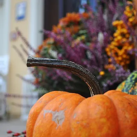 Palac Bugaj Raszkow (Greater Poland)