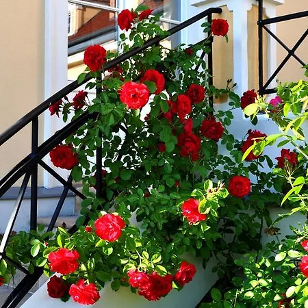 Gasthof Palac Bugaj *