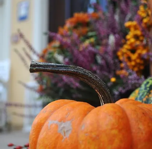 Palac Bugaj Raszkow (Greater Poland)