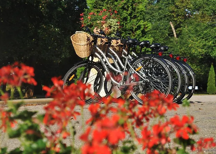 Palac Bugaj * Raszkow (Greater Poland)