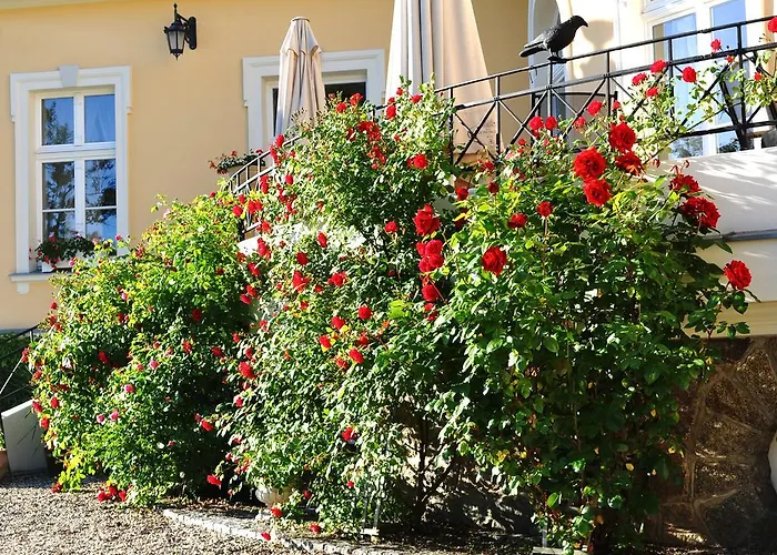 Pensjonat Palac Bugaj *