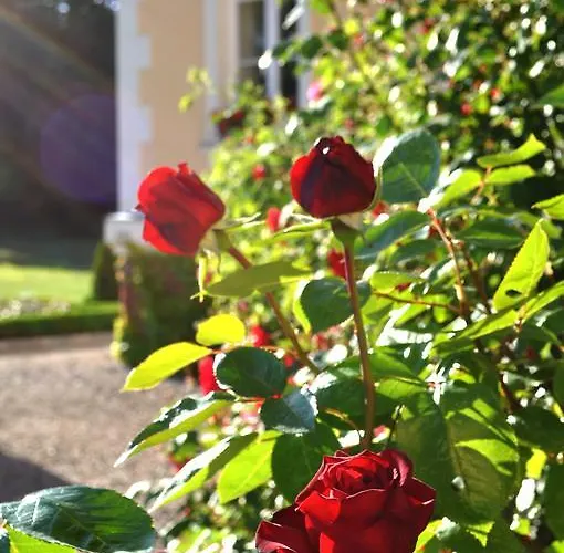 Pensjonat Palac Bugaj Raszkow (Greater Poland)