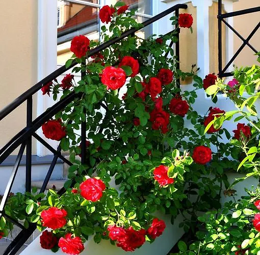 Pensjonat Palac Bugaj *